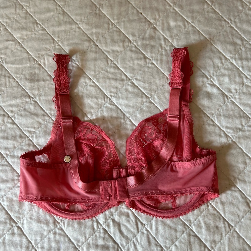 Bra - Picture 6 of 13